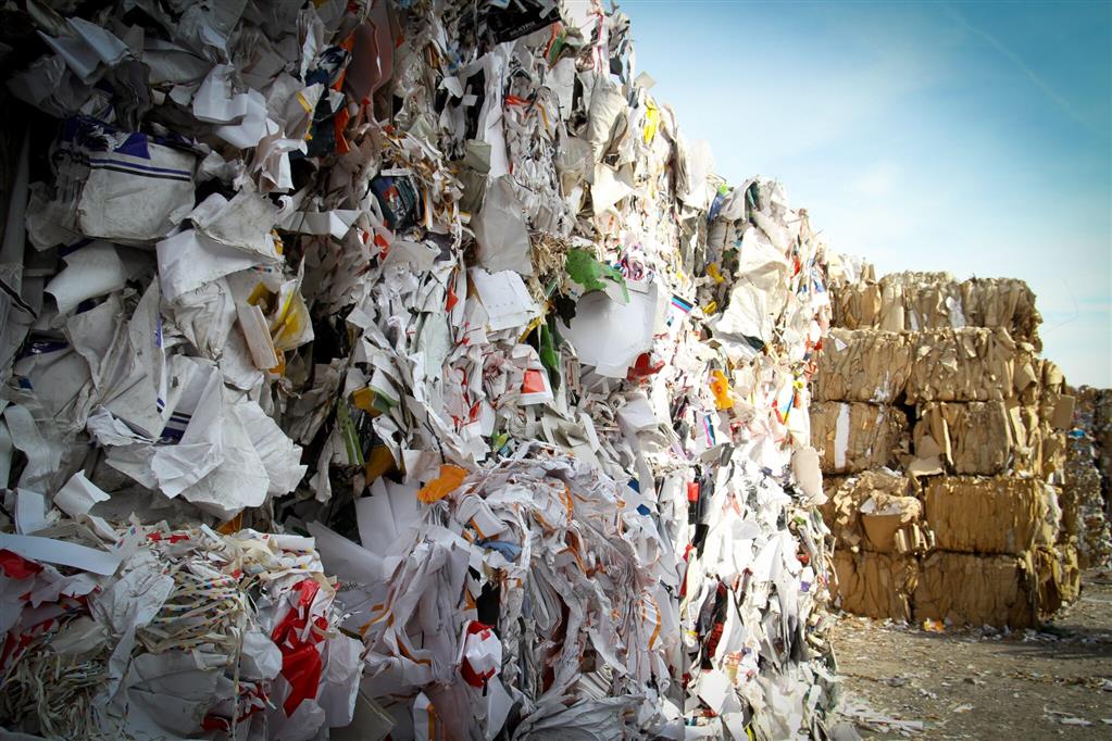 Sex, Poverty, Garbage, and You